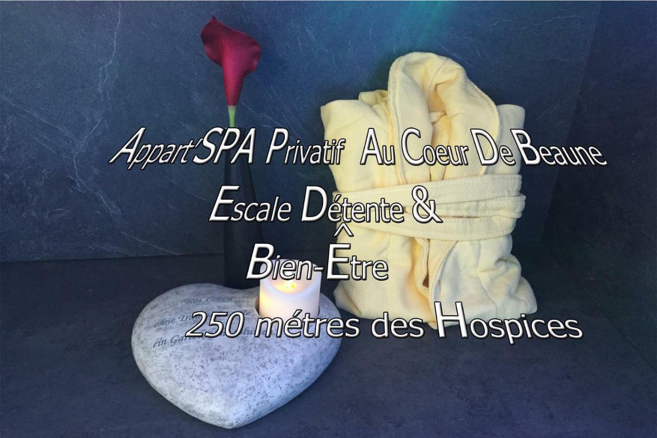 Appart' Spa Et Sauna Privatif Au Coeur De Beaune Eksteriør bilde